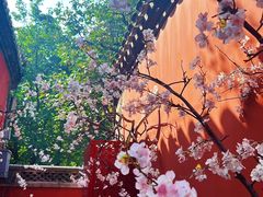 -潭柘寺景区