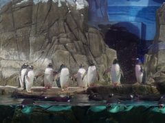 -成都浩海立方海洋公园