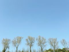 -洨河生态公园