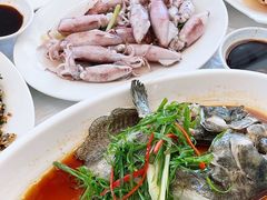 -众味海鲜大排档·活海鲜·潮汕味(南澳店)