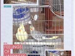 燕庭燕窝下午茶(南京西路店)-燕庭·纯燕窝·甜品下午茶(南京西路店)