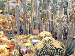 -国家植物园南园