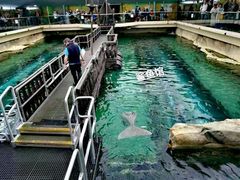 -悉尼海洋生物水族馆