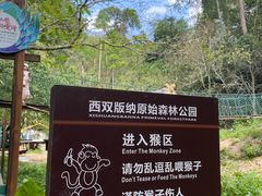 -西双版纳原始森林公园