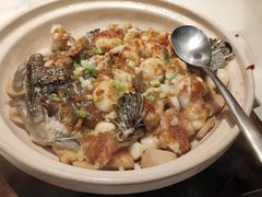 姜豉汁焗龙鼠斑-炳胜品味(海印总店)