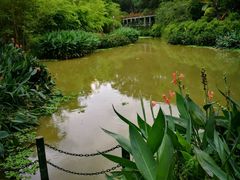 -大屏嶂森林公园