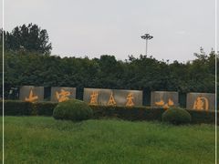 -大宁郁金香公园-停车场