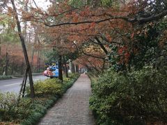 -中国人民解放军联勤保障部队第九〇三医院(九里松院区)