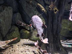 -常州海昌海洋探索馆