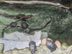 -香港海洋公园