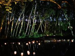 -西溪南古村落