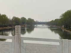 -马家湾湿地公园