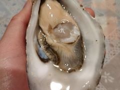 -斯普汇生蚝牛排馆(中骏世界城店)