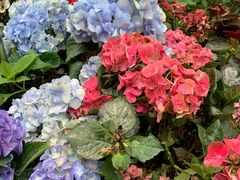 -人民公园(罗湖区)