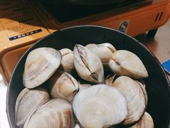 大卜卜贝-水哥卜卜贝(东晓·胜汇里店)