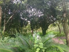 -苏州环秀晓筑养生度假村