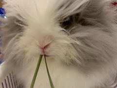 -藦茜花园宠物主题亲子互动体验馆(国顺东路店)