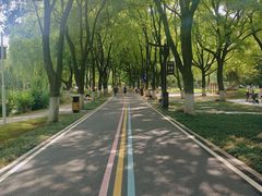 -堤角公园