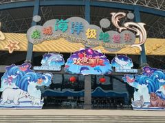 -泉城欧乐堡海洋极地世界