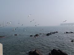 -黑石礁公园