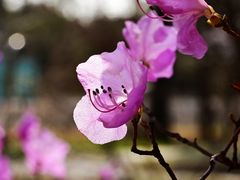 -国家植物园南园
