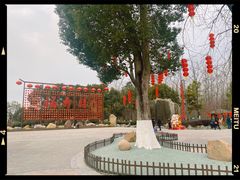 -合肥滨湖国家森林公园