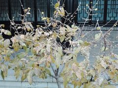 -清晏园