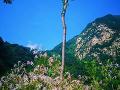 -秦岭风景区