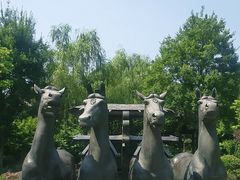 -武汉园博园(武汉自然博物馆)