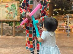 -杭州开元森泊度假乐园