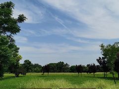 -汉长安城未央宫国家考古遗址公园