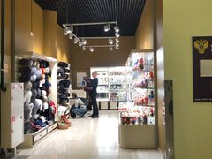 -谢列梅捷沃国际机场