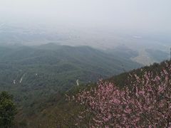 -蛙两只美蛙鱼头火锅(恒茂店)
