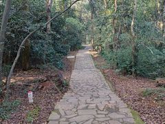 -岳麓山风景名胜区