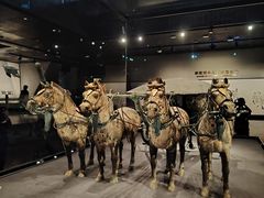 -秦始皇帝陵博物院-丽山园