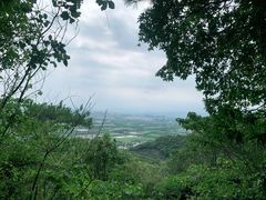 -宁波市保国寺古建筑博物馆