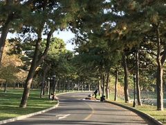 -钓鱼台国宾馆