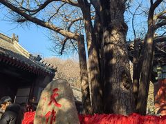 -红螺寺