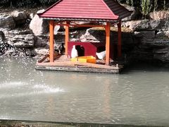 -同里湖度假村(二期店)