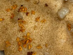 -矮人松糕(小南店)