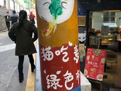 -猫咪博物馆(顶澳仔猫街店)