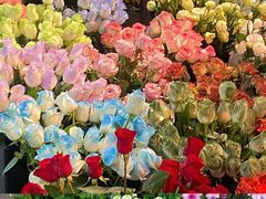 循礼门-循礼门鲜花花市(武汉循礼门店)