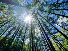 -洛阳白云山景区