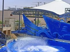 -上海海昌海洋公园