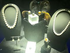 -湖南省地质博物馆