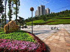 -龙头寺公园