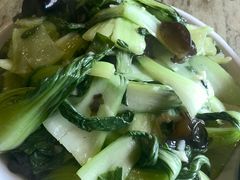 油菜炒木耳-风波庄(洪家楼店)