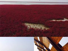 -红海滩国家风景廊道
