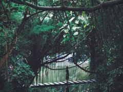 -燕晗山郊野公园