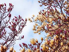 -山东大学(趵突泉校区)